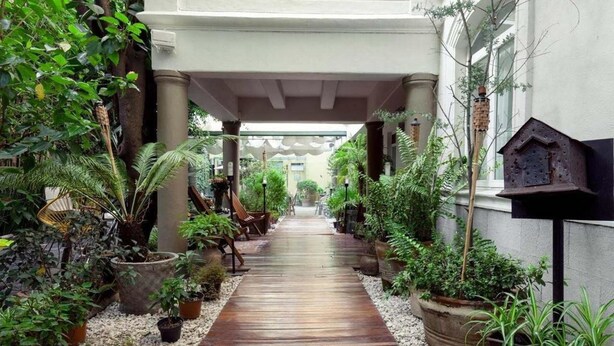Un estrecho sendero de madera bordeado de macetas con plantas y un casillero rústico para pájaros, que conduce a una zona cubierta con un banco y plantas colgantes.
