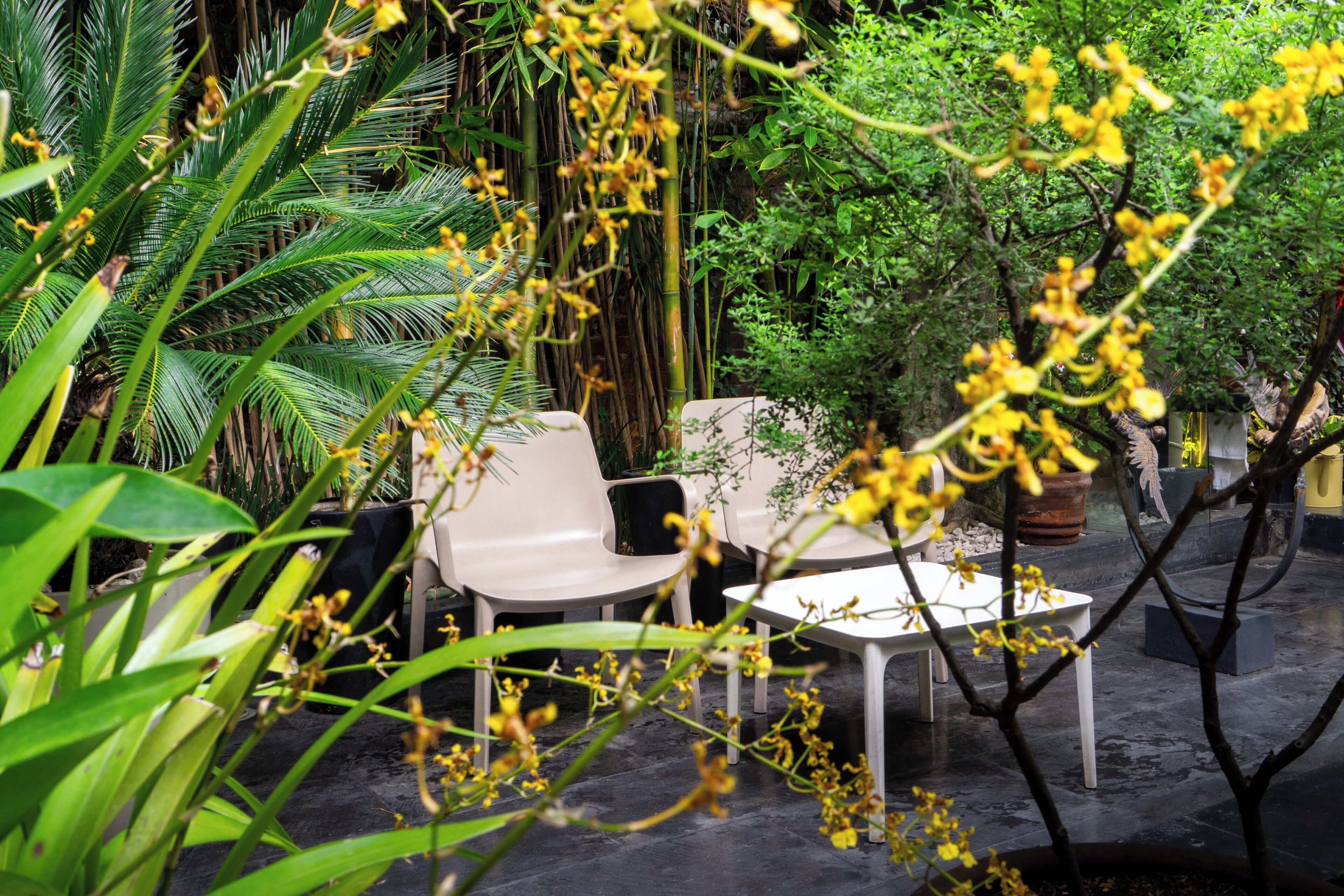 Photo - Hotel Villa Condesa