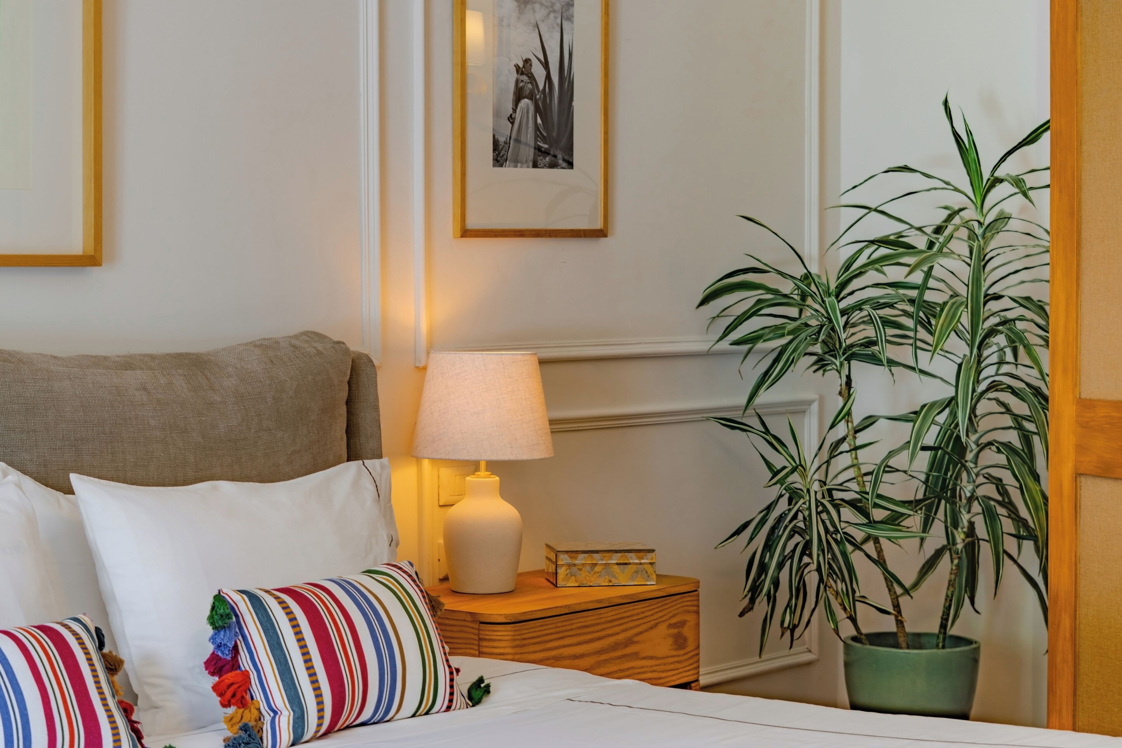Photo - Hotel Villa Condesa