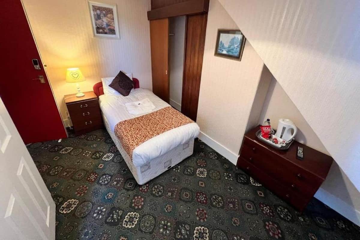 Standard Single Room, 1 Twin Bed | Desk, soundproofing, free WiFi, bed sheets