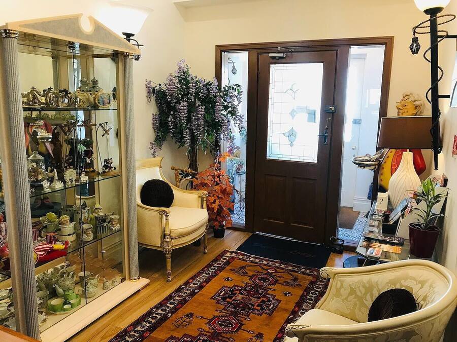 A room with a glass display cabinet filled with various items, a chair, a large potted plant, and a patterned rug.