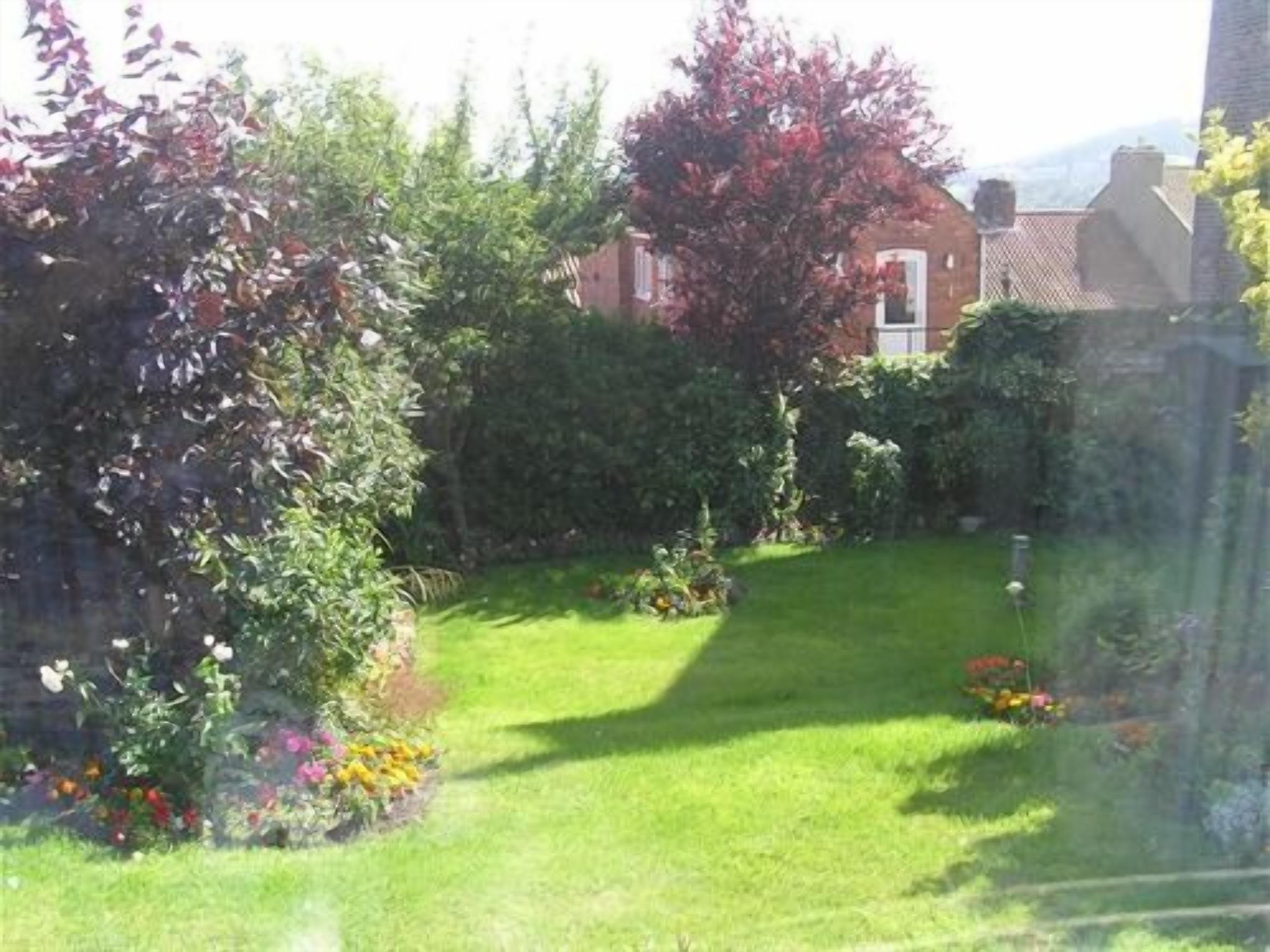A garden with a lawn, various plants, and a building in the background.