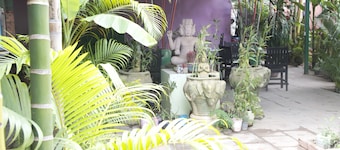 Palm Garden Lodge