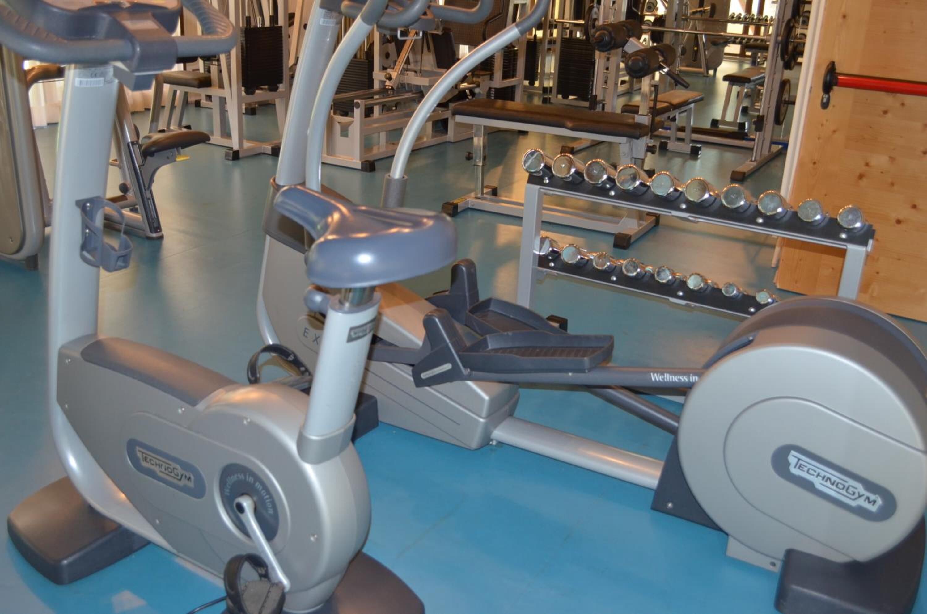 A gym with cardio machines, weight benches, and dumbbells.