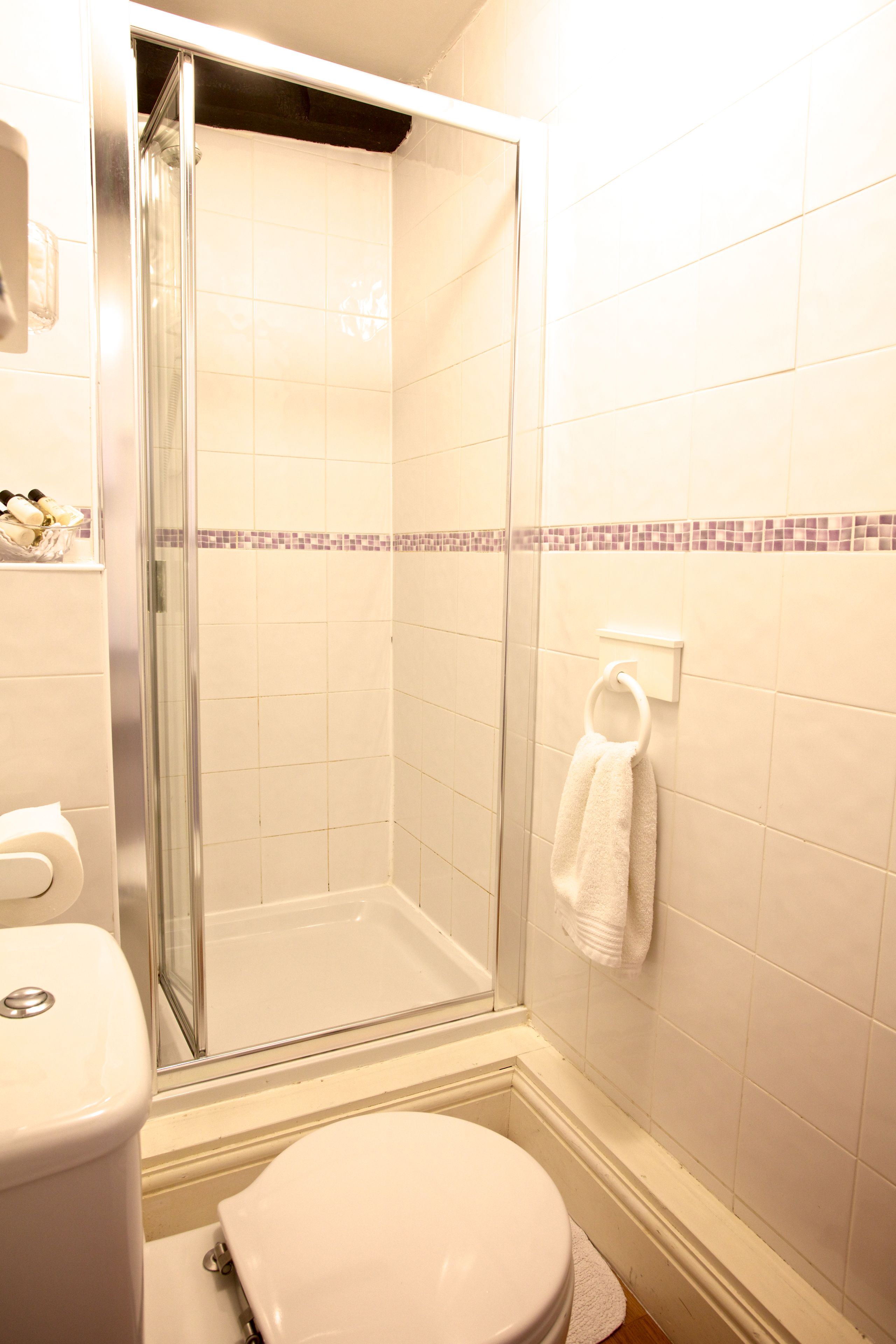 A bathroom with a glass-enclosed shower, a toilet, and a towel rack.