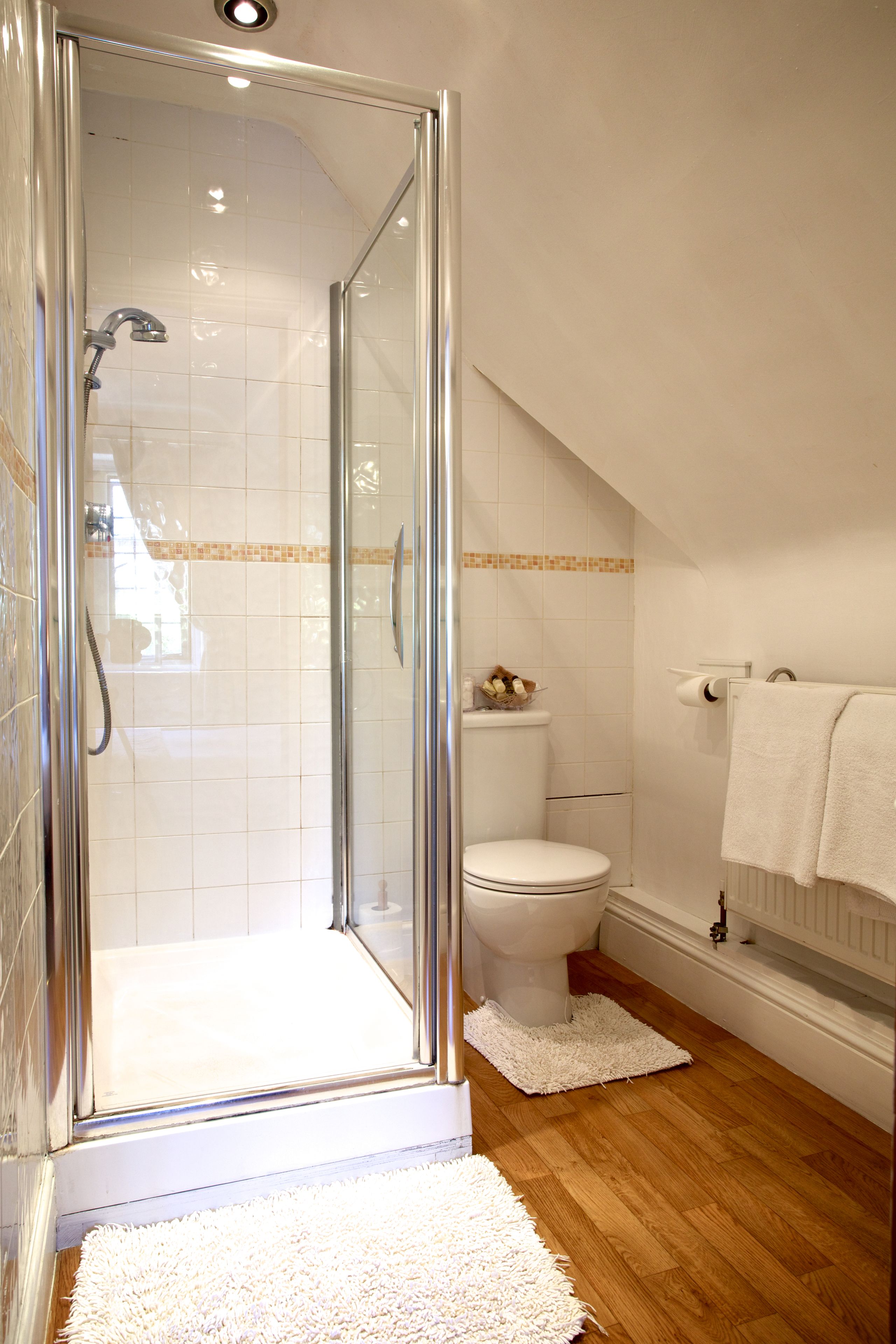 A shower with a glass door, a toilet, and a bathtub with a towel rack.