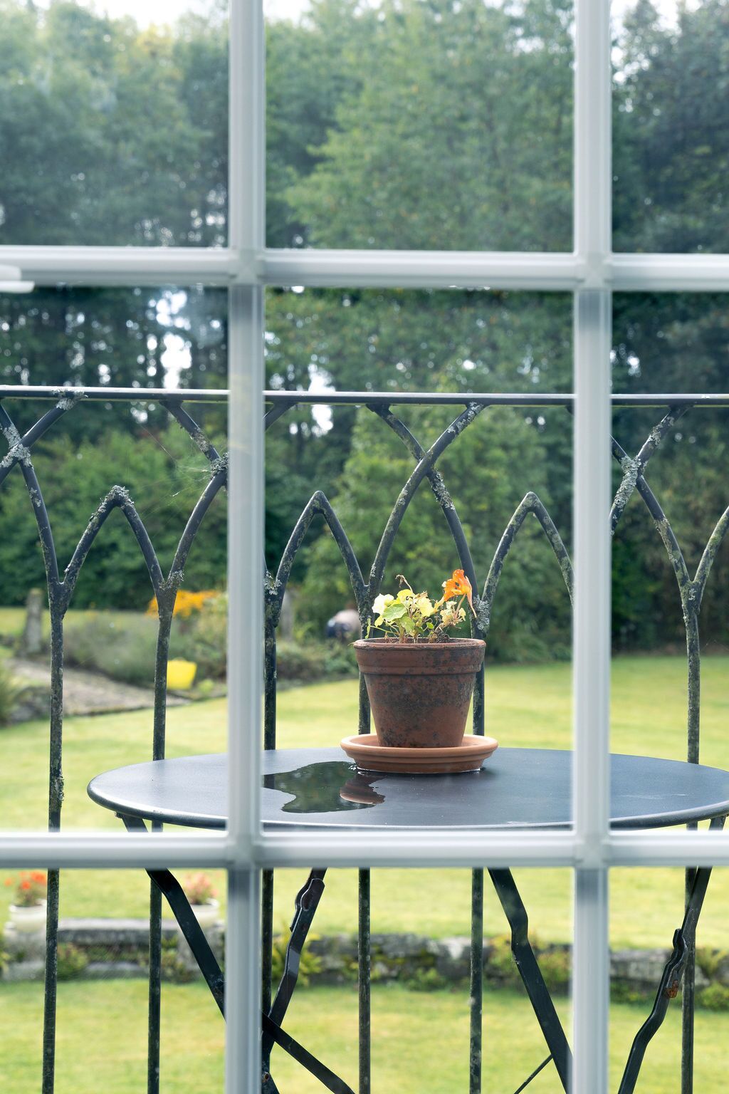 A potted plant on a round table with a metal railing, viewed through a window with a grid pattern.