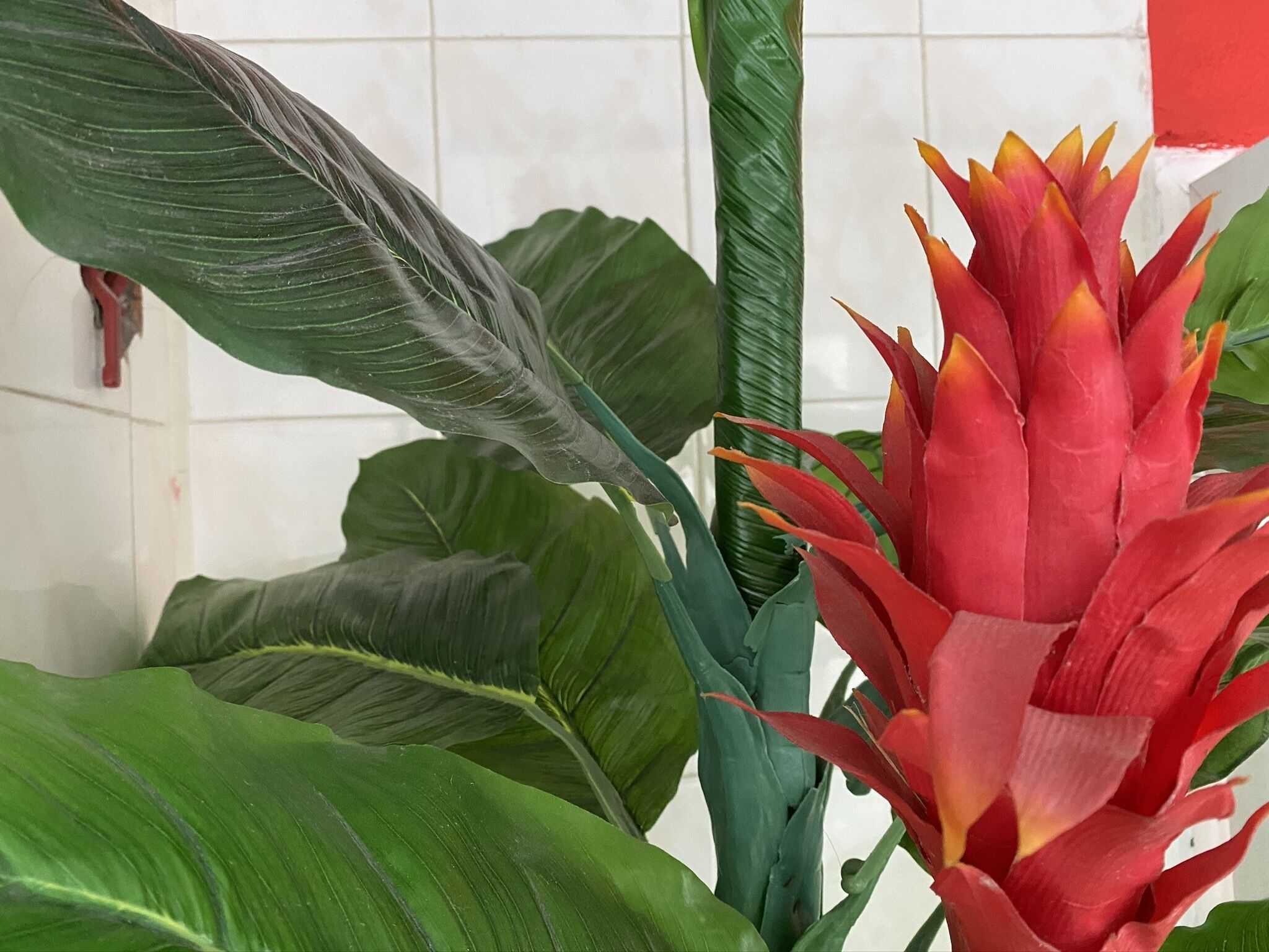 Foto - Braganca Oporto