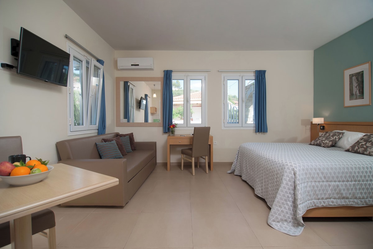 A hotel room with a bed, a sofa, a desk, and a TV.