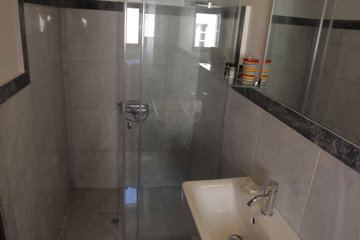 shower, free toiletries, hair dryer, towels