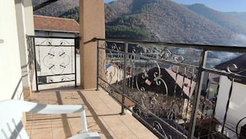 Comfort Single Room | Terrace/patio