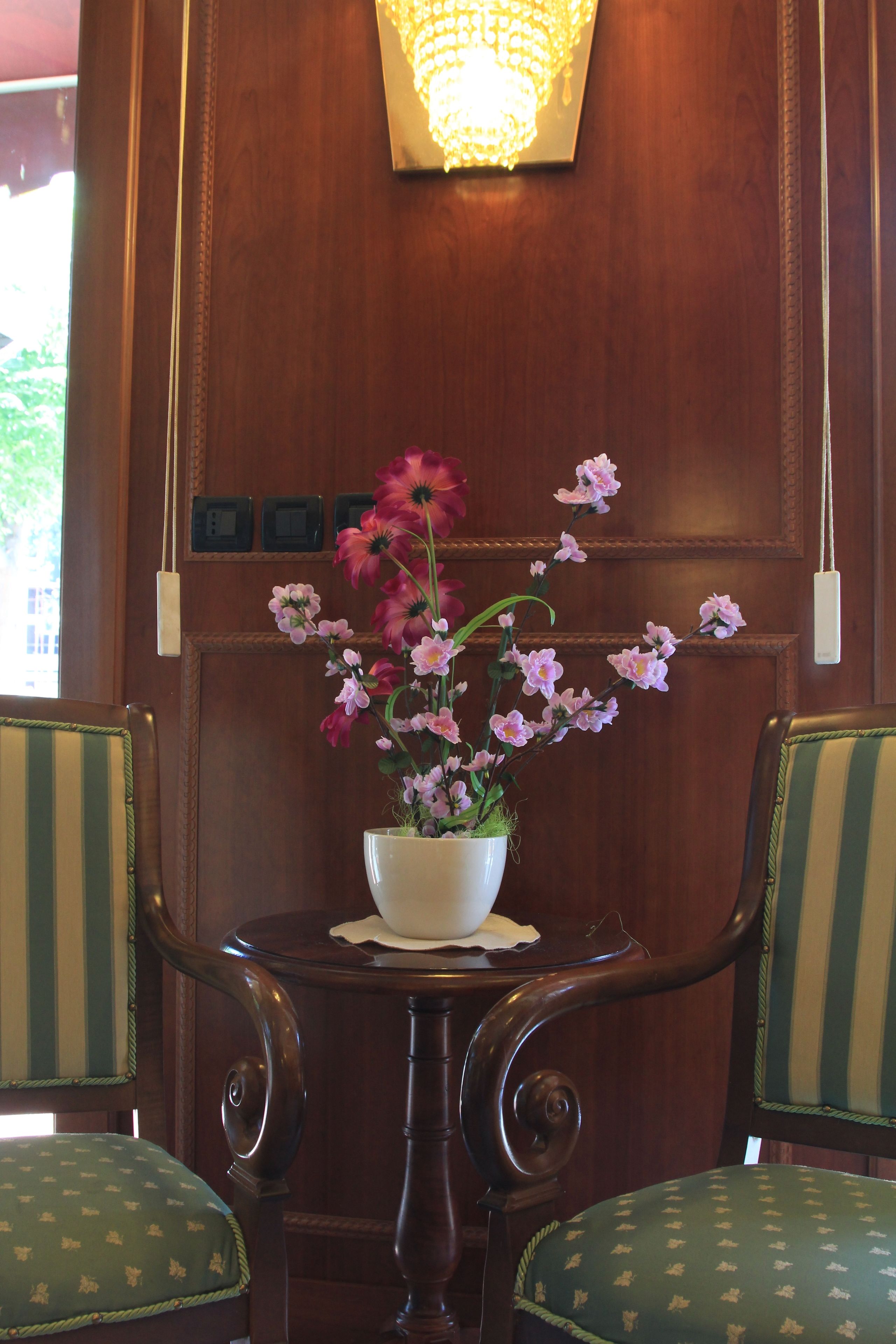 A wooden wall with a potted plant and two upholstered chairs.
