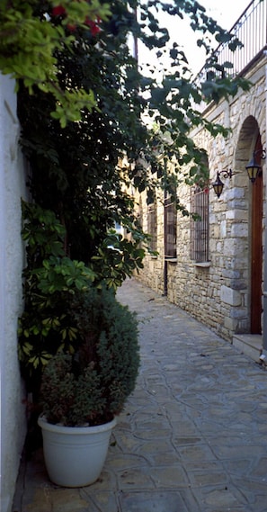 Property grounds - Kallirroi Studios (Samos)