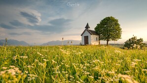 A small white church with a bell tower, surrounded by a grassy field and a large tree. - KOLBERBRÄU Posthotel und Gasthaus (Bad Toelz)