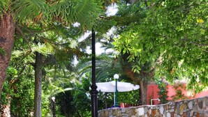 Property grounds - Ilios Studios (Istiaia-Aidipsos)
