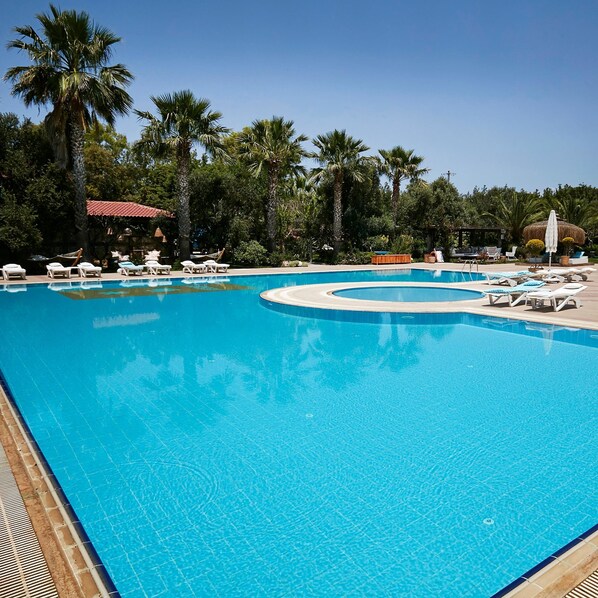 Outdoor pool, open 9:00 AM to 8:00 PM, pool loungers