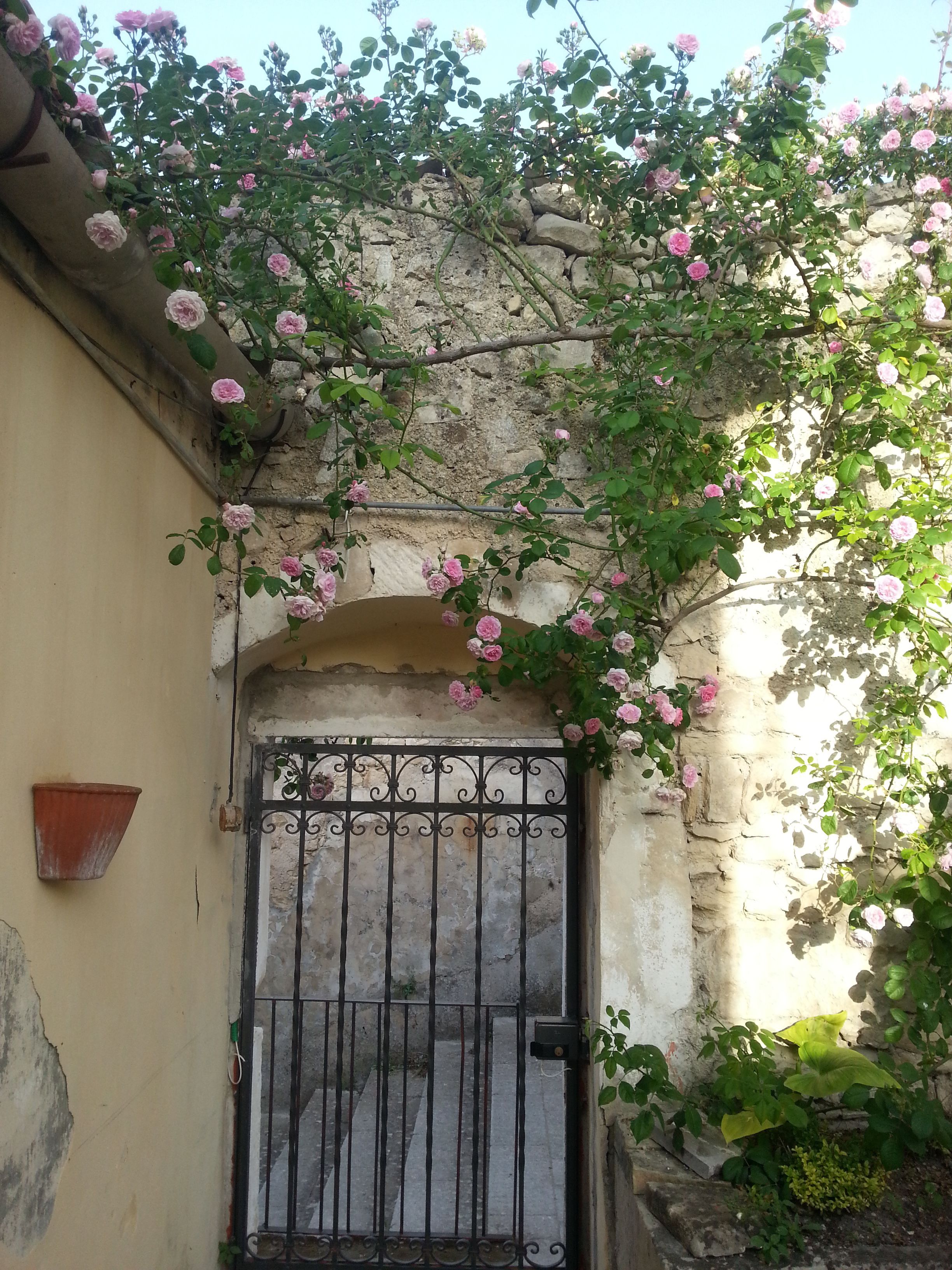 Foto - Giardino sul Duomo