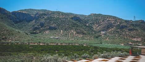 Seasonal outdoor pool, pool umbrellas, pool loungers