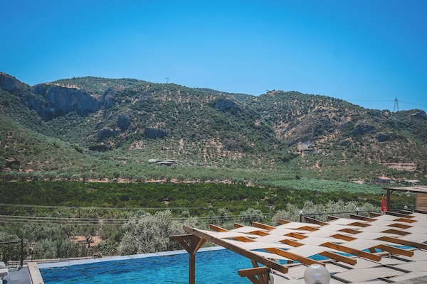 Seasonal outdoor pool, pool umbrellas, sun loungers