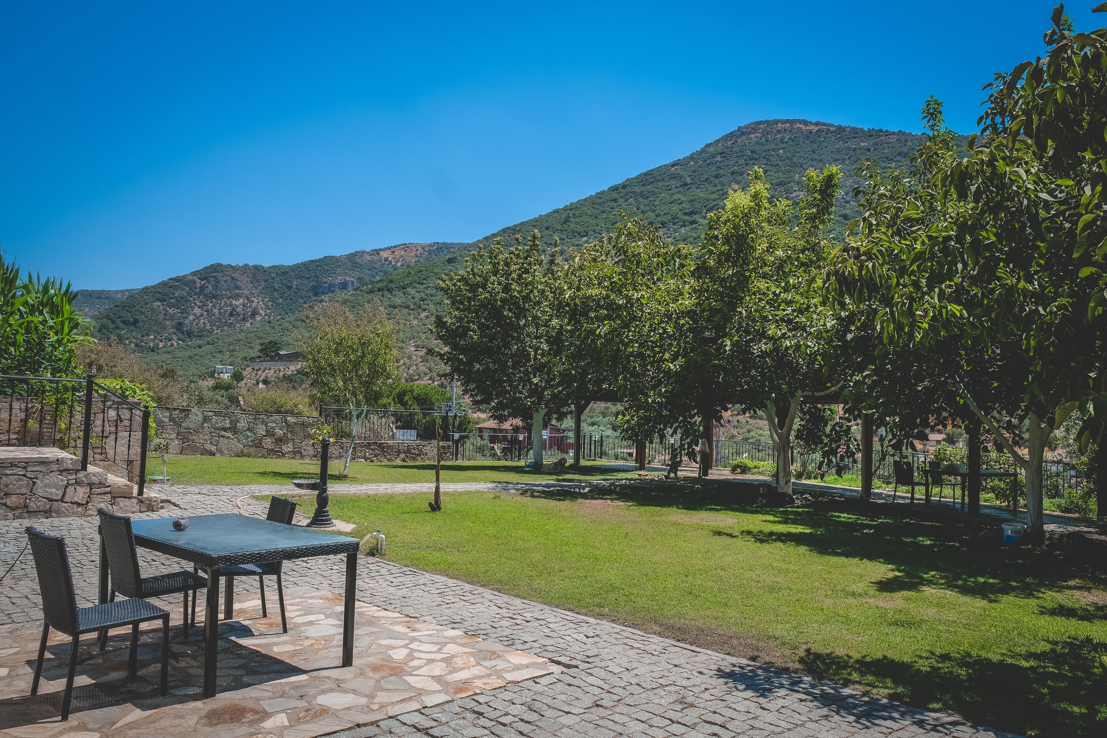 An outdoor patio with a stone table and chairs, surrounded by a grassy area and trees, with a mountain in the background.