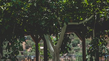 Jardín