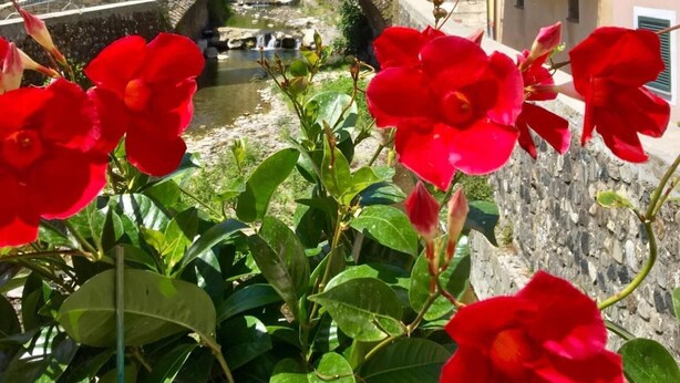 A stone bridge over a small stream, surrounded by traditional buildings with balconies and green shutters, set against a backdrop of hills. - Locanda da Marco (Pignone)