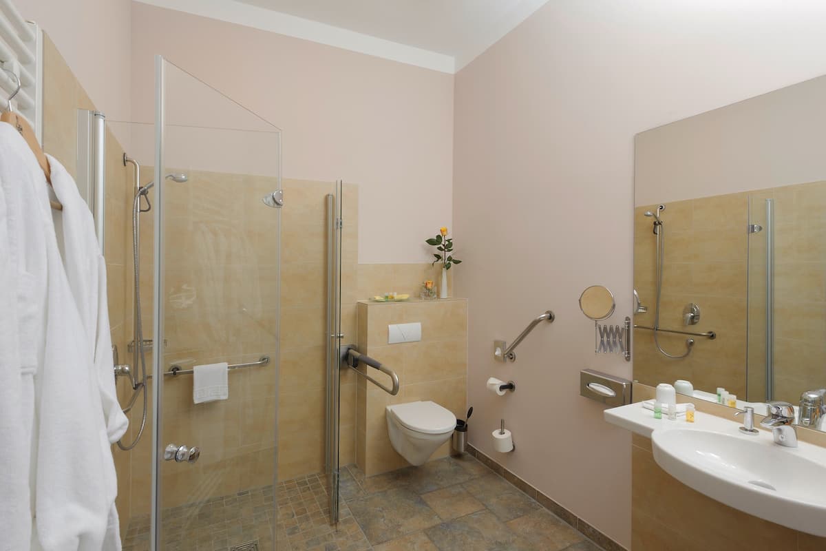 Deluxe Double Room, Park View | Bathroom shower