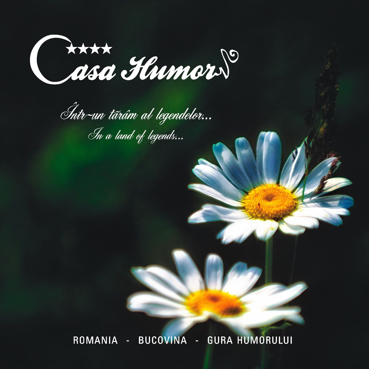 A logo with the text "Casa Humor" and a tagline "Intr-un tărâm al legendelor... In a land of legends...".