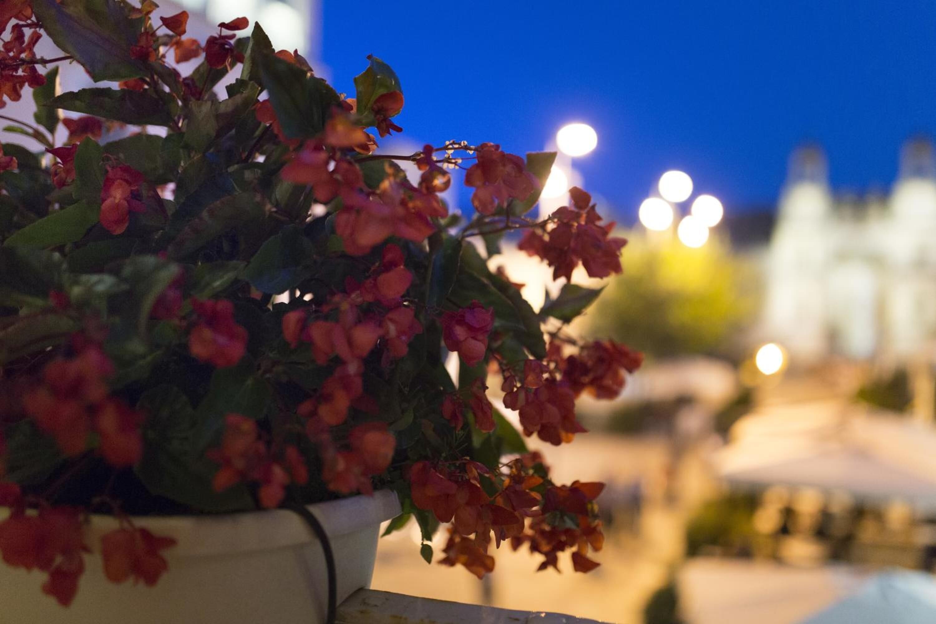 Foto - Residenza dei Suoni