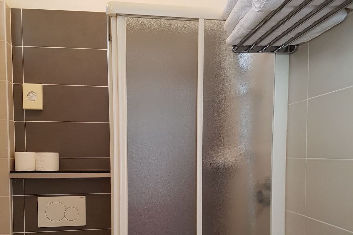 Shower, free toiletries, hair dryer, bidet