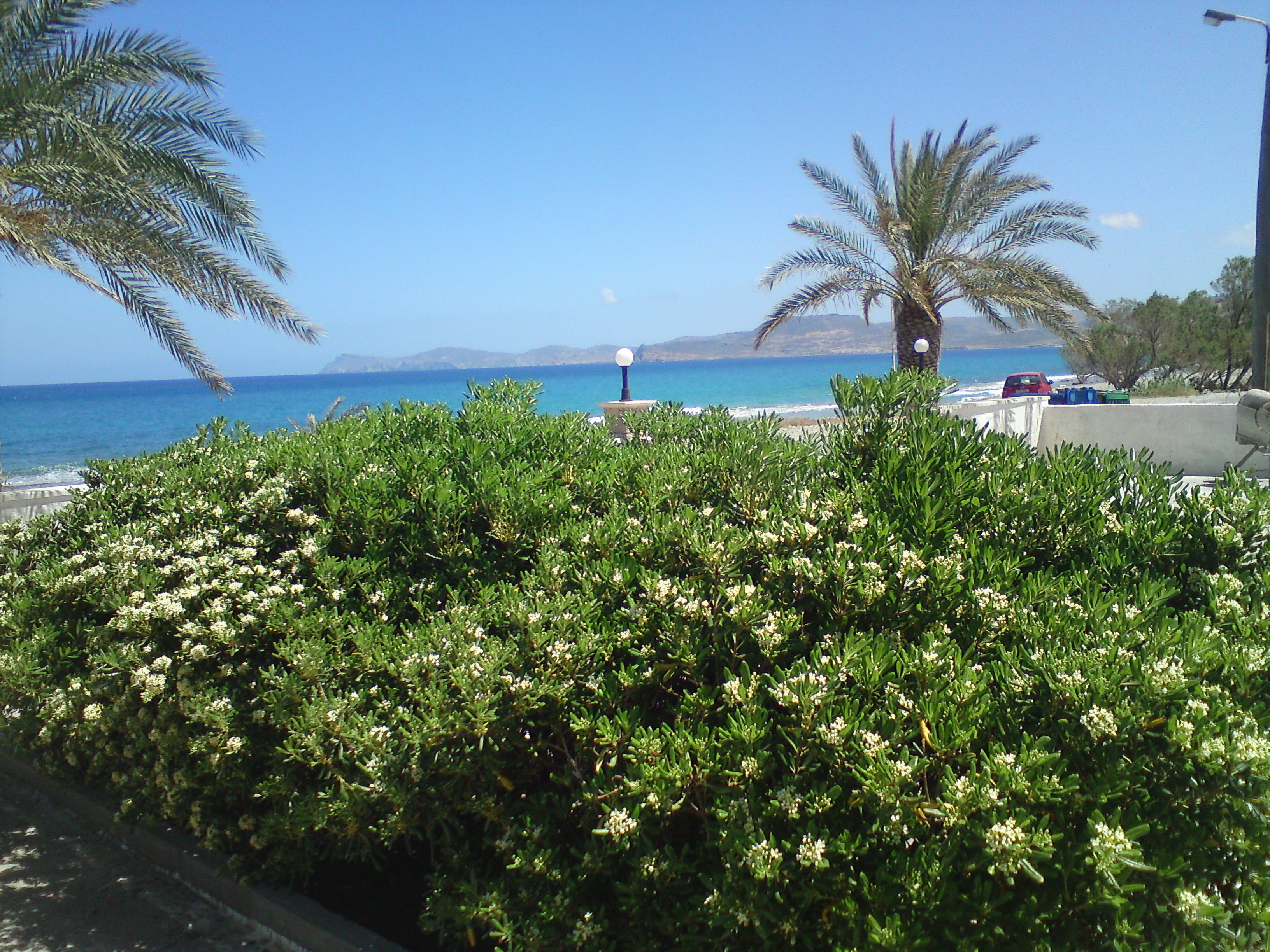 standard room, sea view | view from room