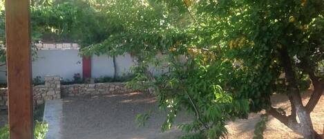 A courtyard with a stone wall, a red door, and a tree with green leaves.