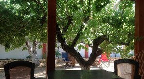 Standardzimmer, Gartenblick