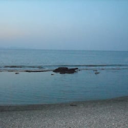 海灘、潛水、浮潛、排球