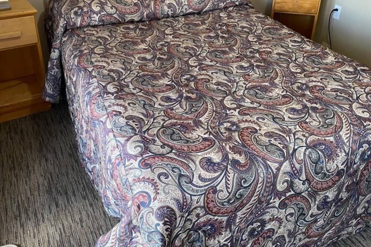 Un lit avec une couvre-lit à motifs, une tête de lit en bois, une table de chevet avec une lampe et un téléviseur posé sur un meuble.