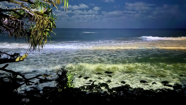 Ein Strand mit Wellen, blauem Himmel und etwas Vegetation.