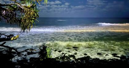 Burleigh Palms Holiday Apartments