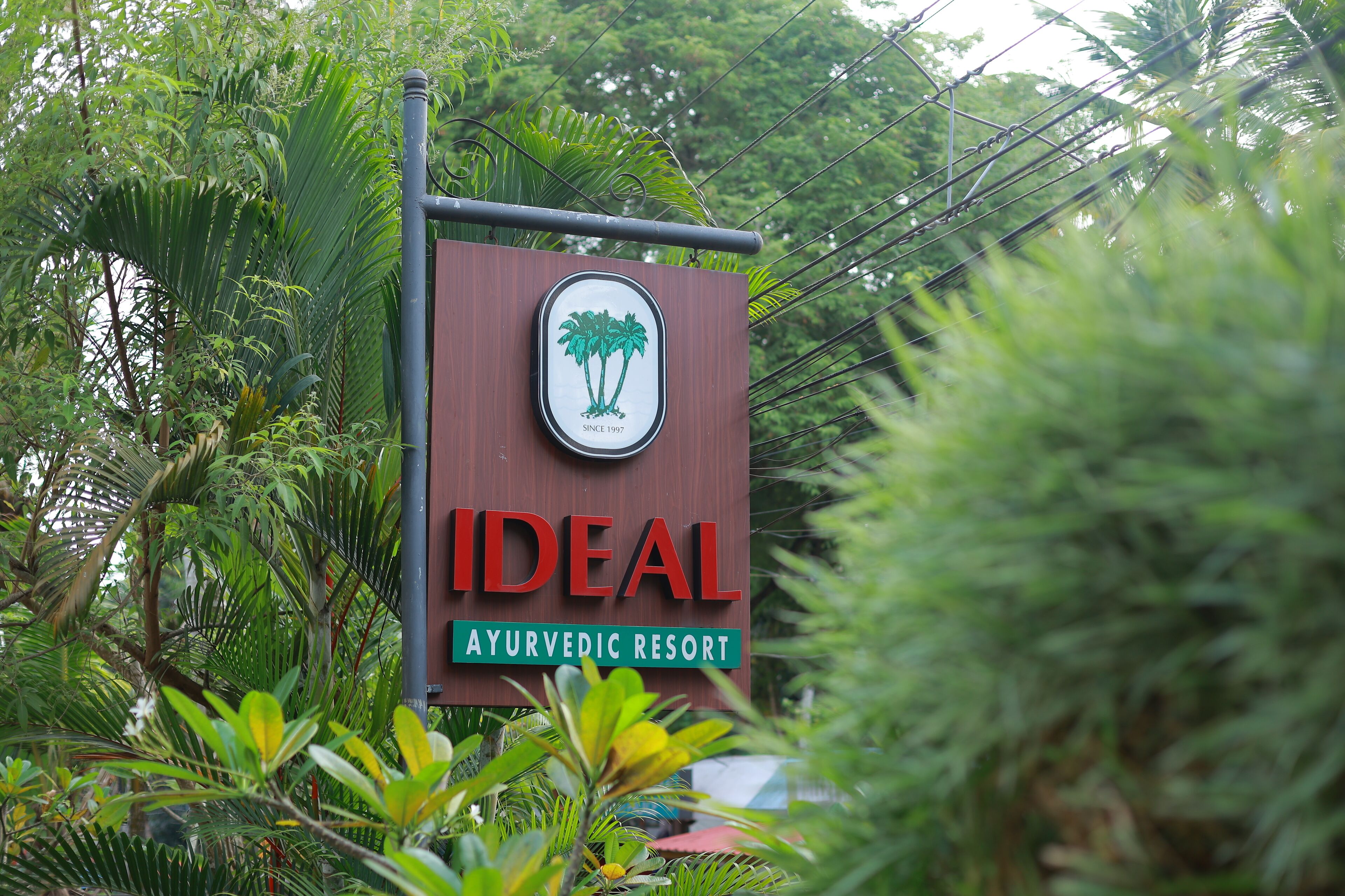 A sign for 'Ideal Ayurvedic Resort' with a logo of palm trees and the text 'Since 1997'.