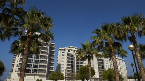 Un edificio alto con varios pisos, rodeado de palmeras.