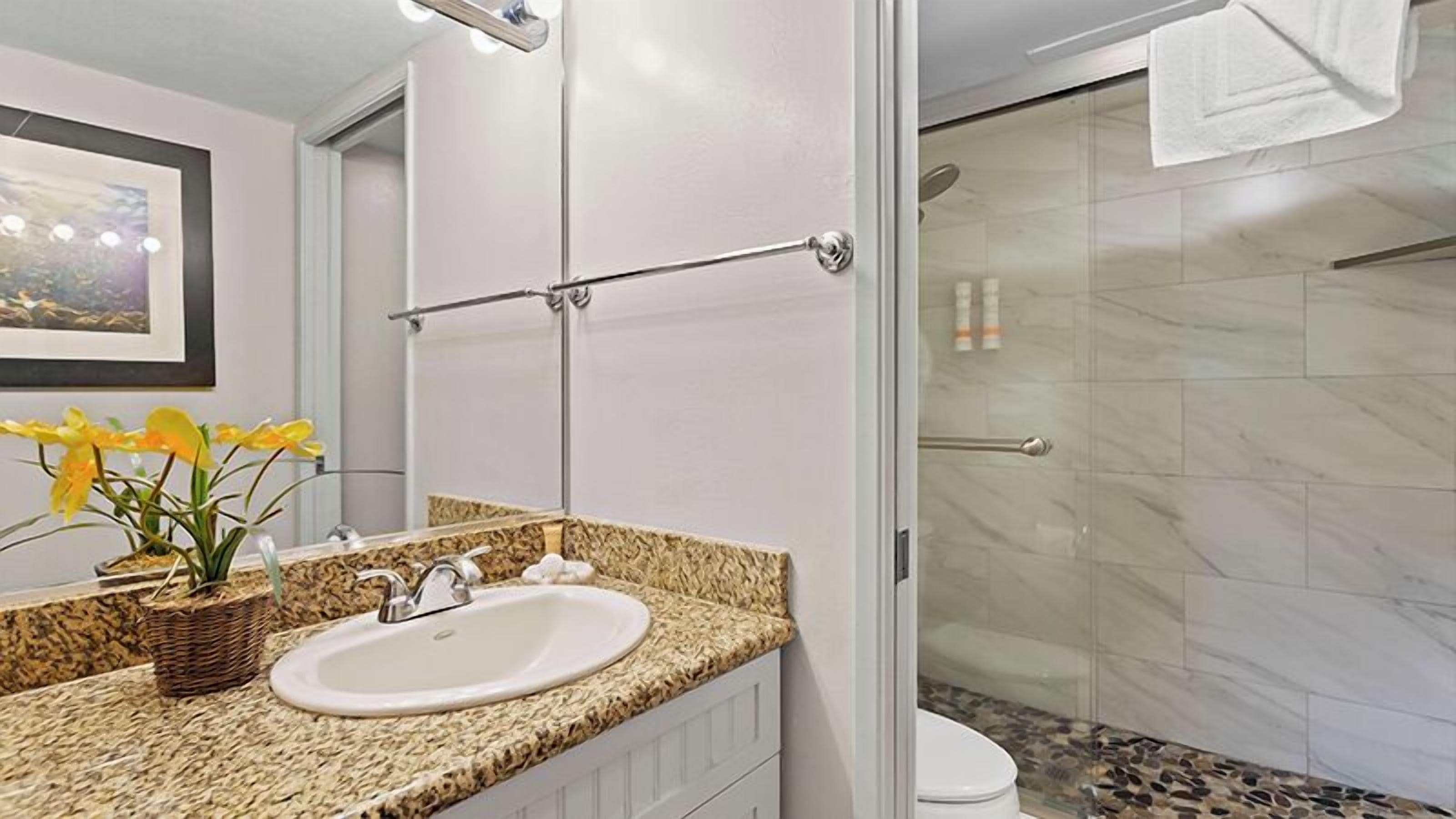 Une salle de bain avec un lavabo sur un plan de travail en granit, une douche en verre et un tableau encadré au mur.