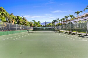 An outdoor tennis court with a net, surrounded by a fence and palm trees.