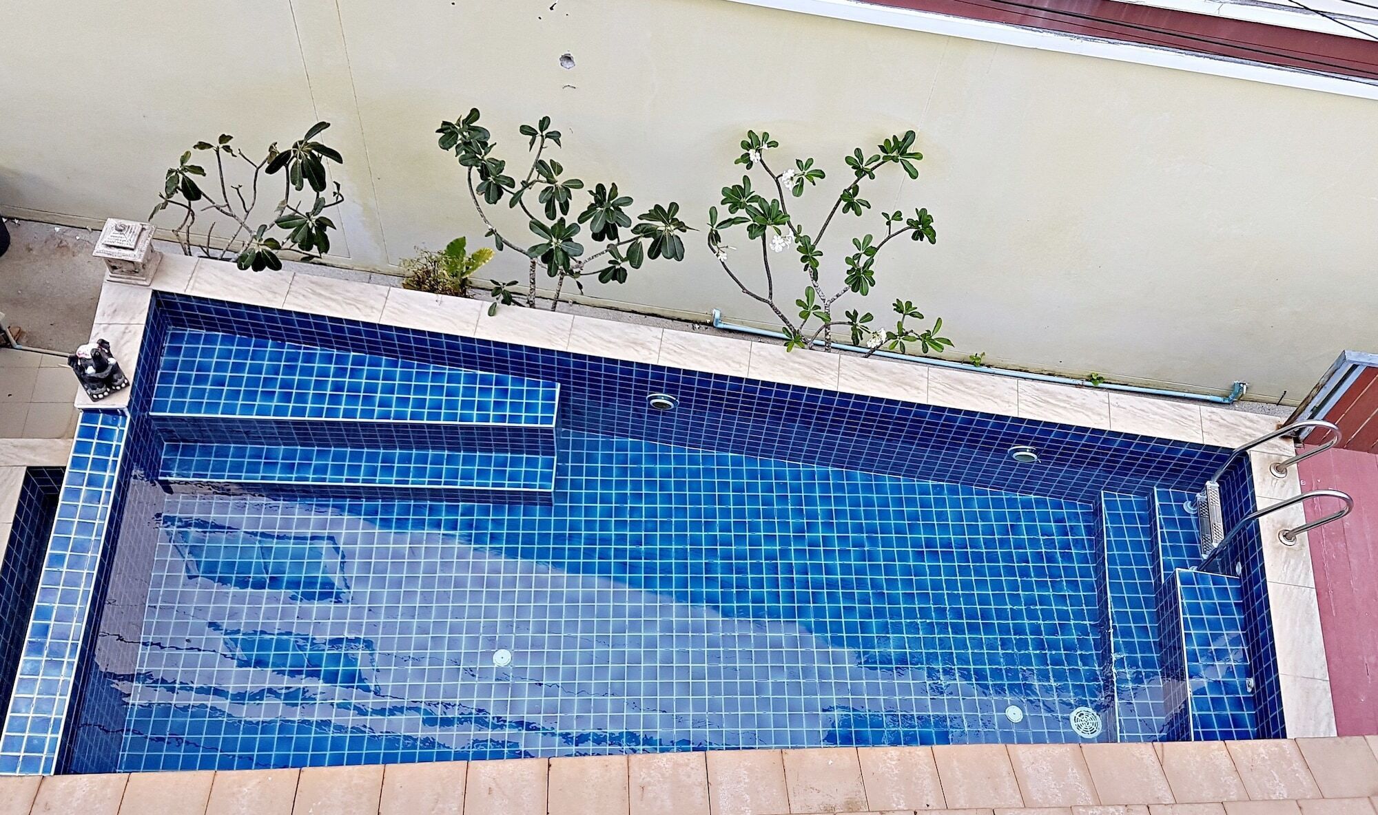 室外游泳池，08:00 至 19:00 开放，日光浴躺椅