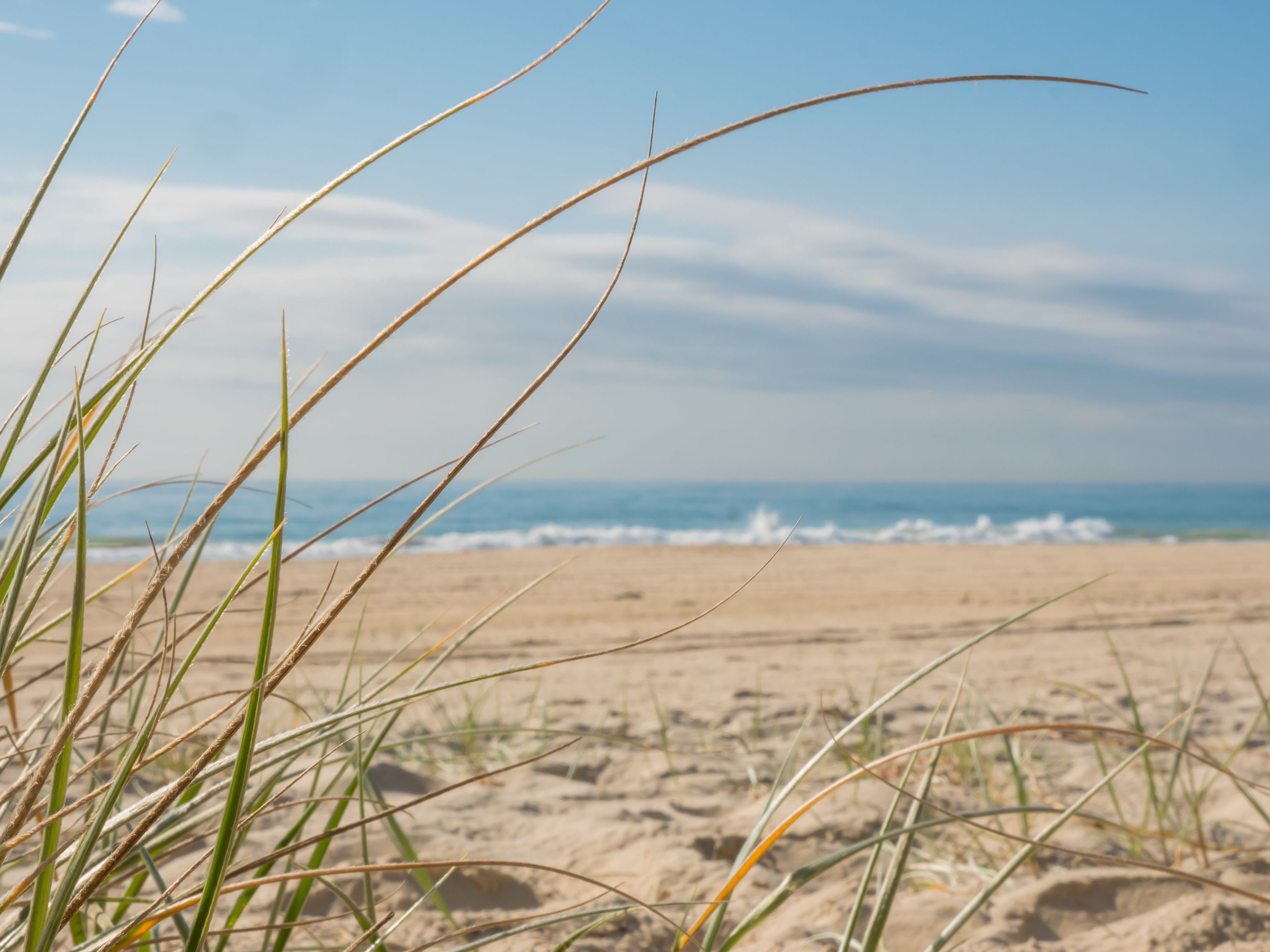 Burleigh Surf Apartments — image 20