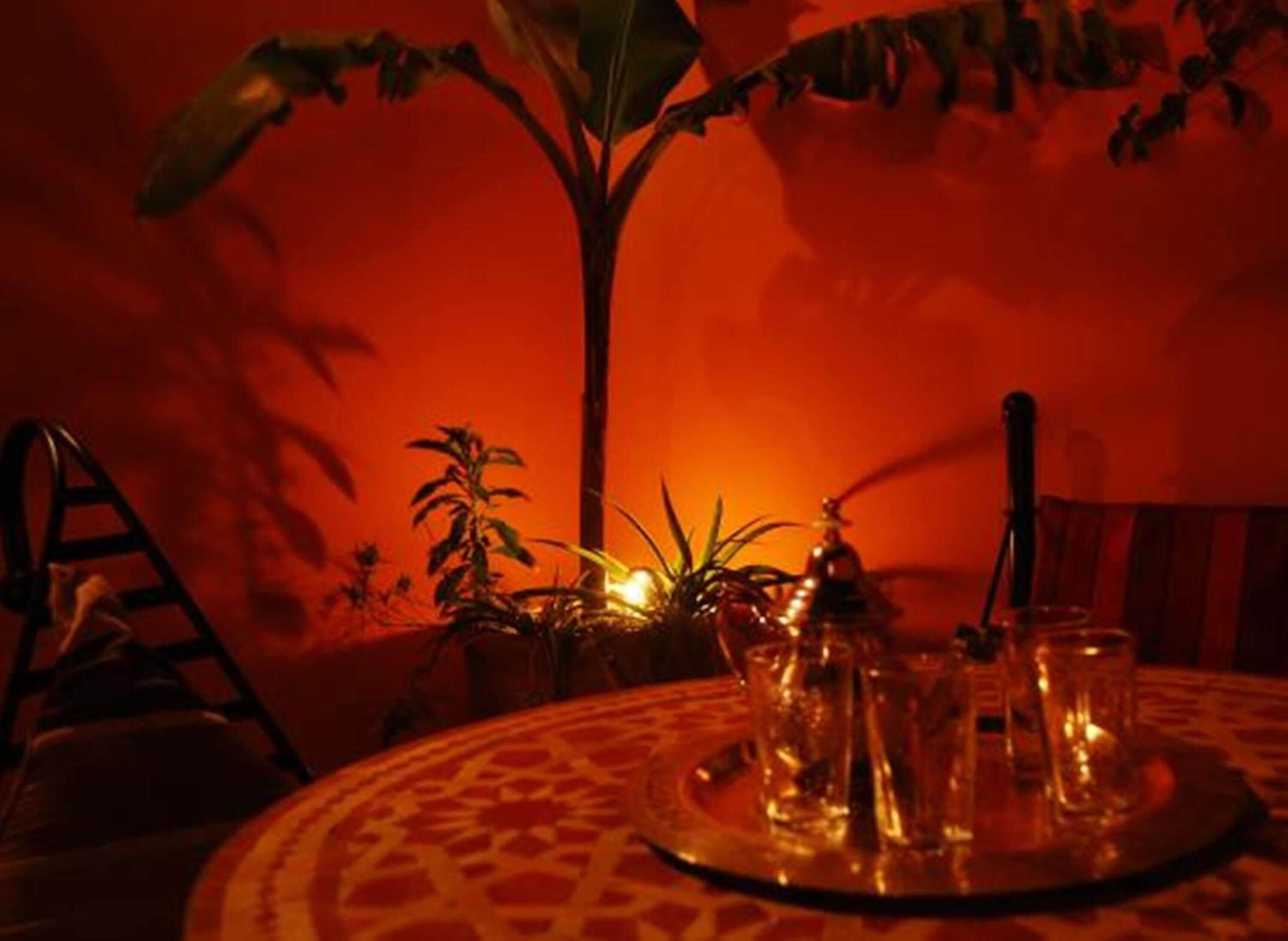 Foto - Riad La Perle de Marrakech