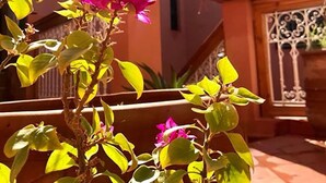 A potted plant with pink flowers in a courtyard with a building in the background. - Riad La Perle de Marrakech (Marrakech)