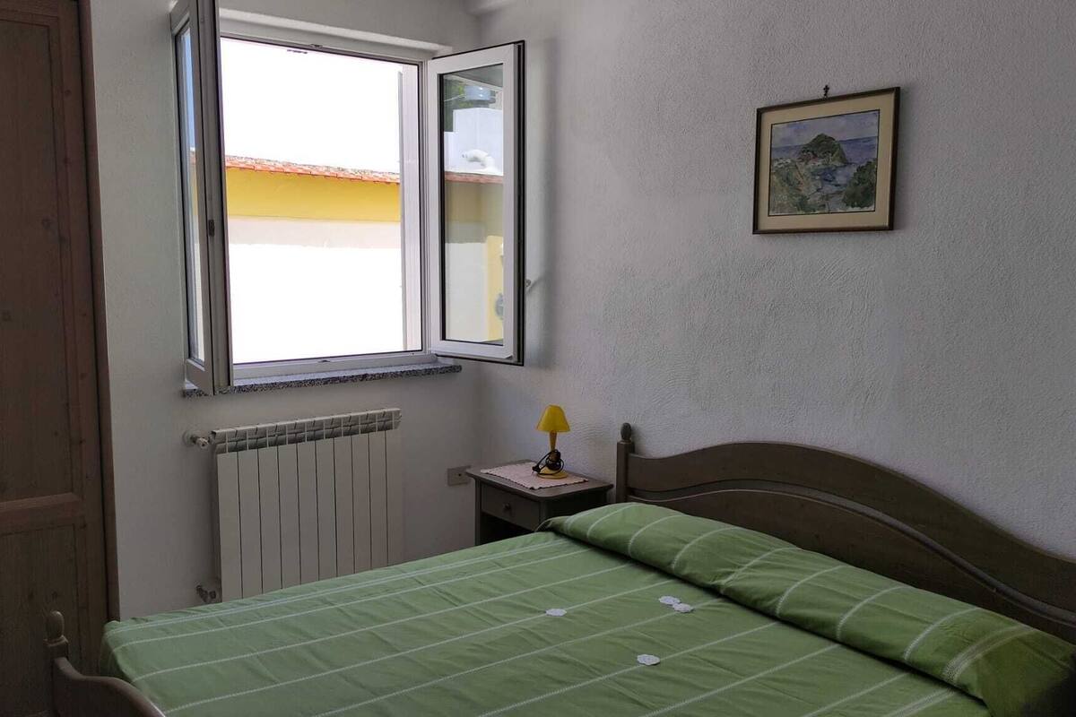 A bedroom with a single bed, a bedside table with a lamp, a window with a view of a building, and a framed picture on the wall.