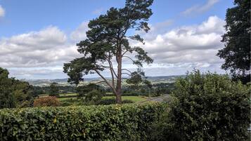 Eine Landschaft mit einem markanten Baum, üppigem Grün und einer weiten Aussicht auf sanfte Hügel.