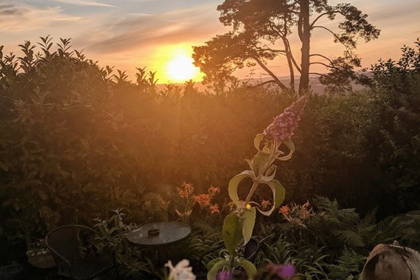 花園