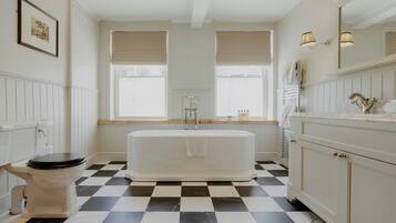 Combined shower/bathtub, free toiletries, hair dryer, towels