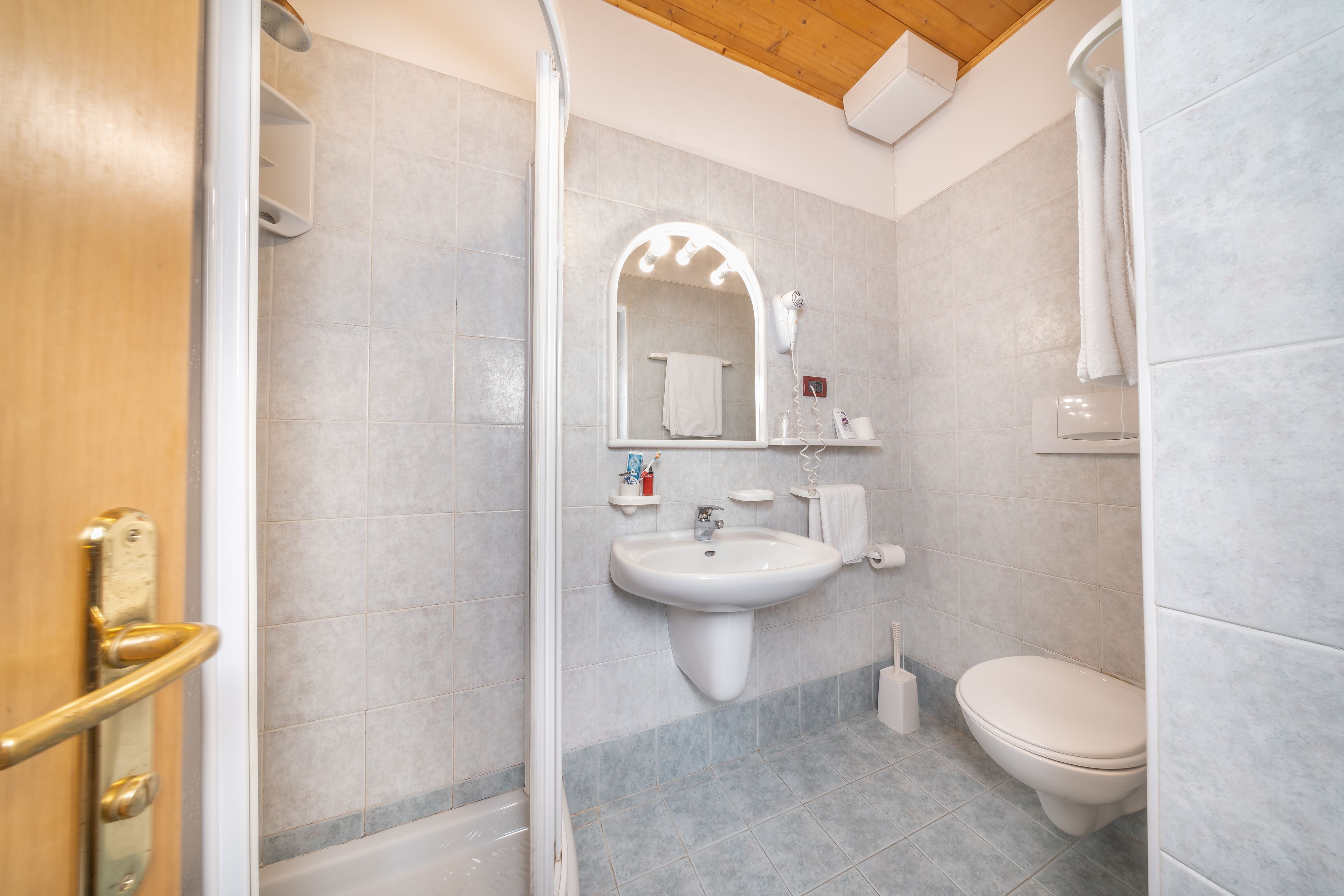 shower, free toiletries, hair dryer, bidet